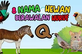 Nama Hewan Berawalan Huruf E