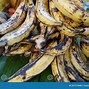 Pisang Tanduk Masak Apa